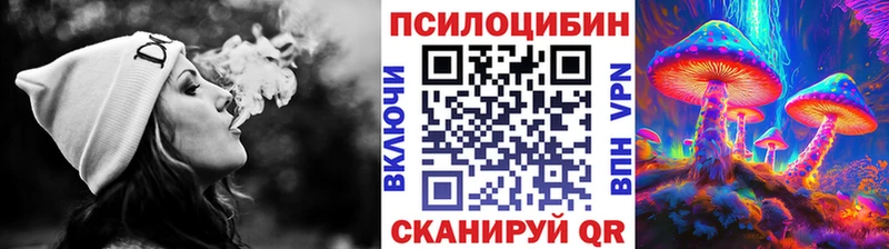 Купить  Горно-Алтайск  Галлюциногенные грибы прущие грибы 